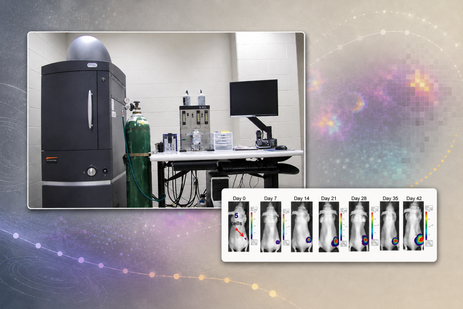 IVIS Spectrum Imaging Core card showing a mounted photo of the imaging instrument and workstation with a time-series in vivo imaging panel over a soft abstract background of bioluminescent signal textures and progression arcs.