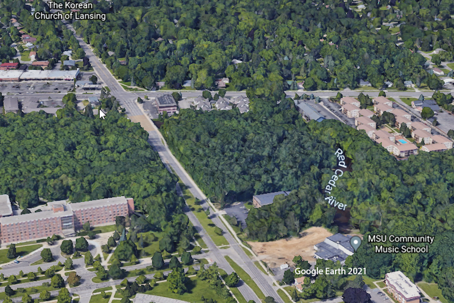 Google earth view of banner beal pinetum natural area on MSU's campus